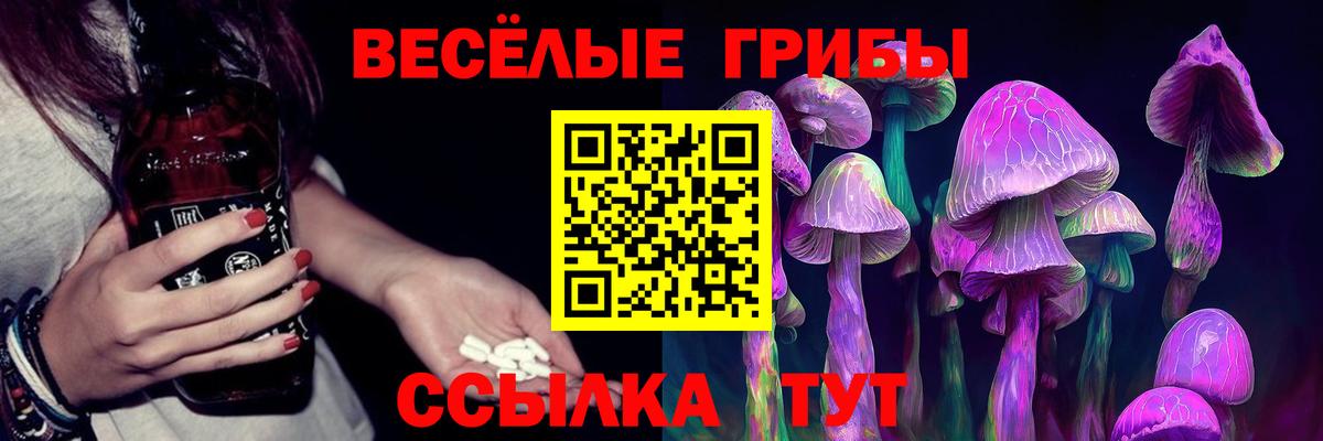 Галлюциногенные грибы прущие грибы  Псилоцибиновые грибы Cubensis  Дедовск  Вход с VPN 